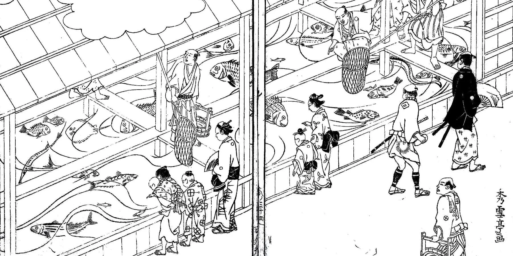 生簀をイメージしたIkesのビジュアル